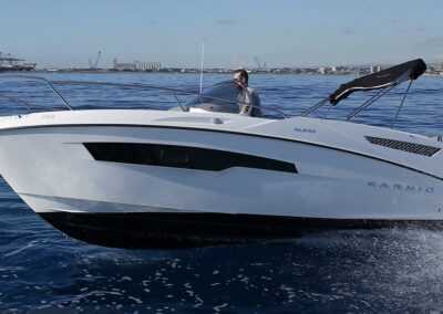 Karnic SL652